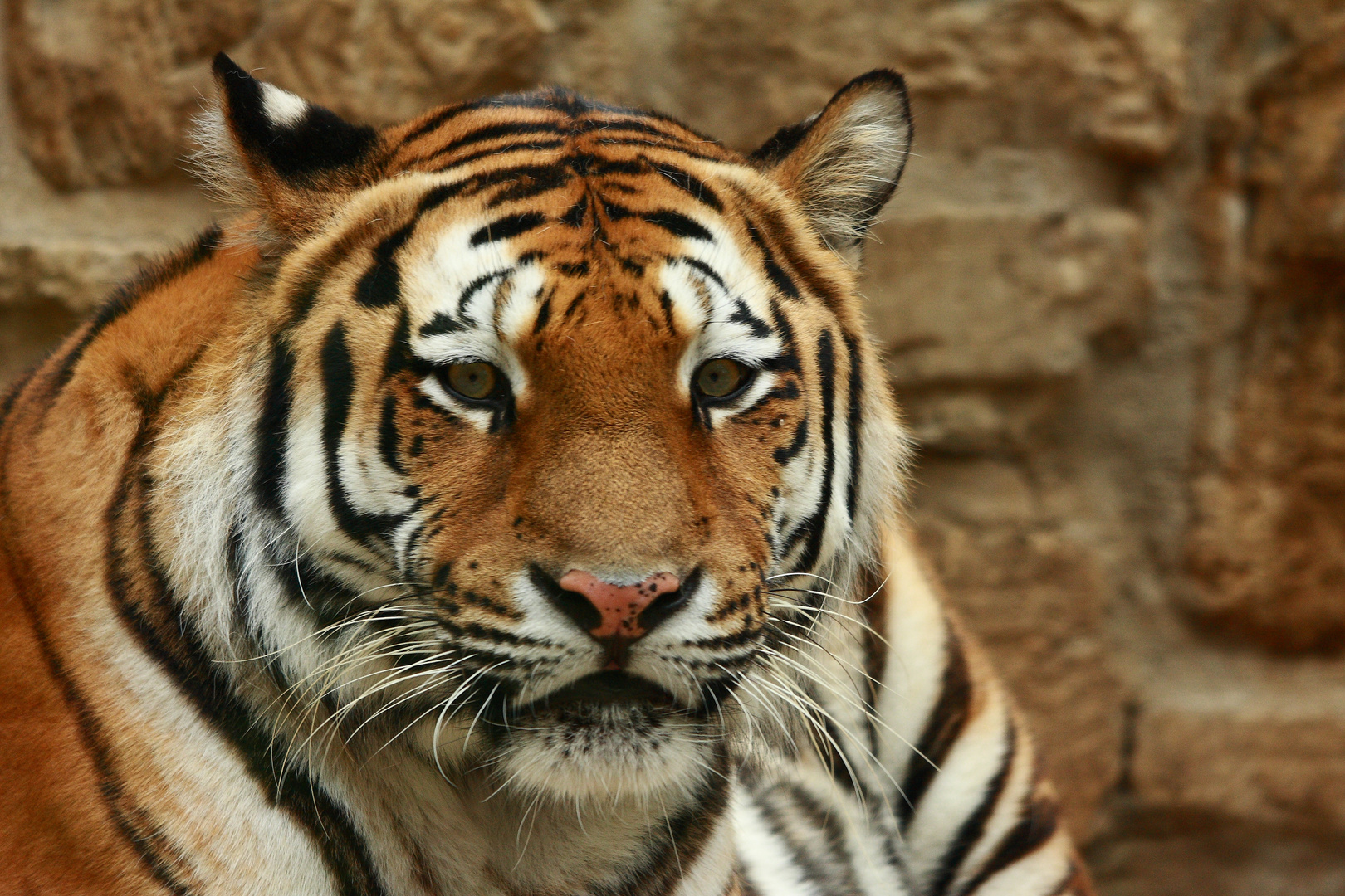 Impressionen aus dem Zoo Aschersleben 3