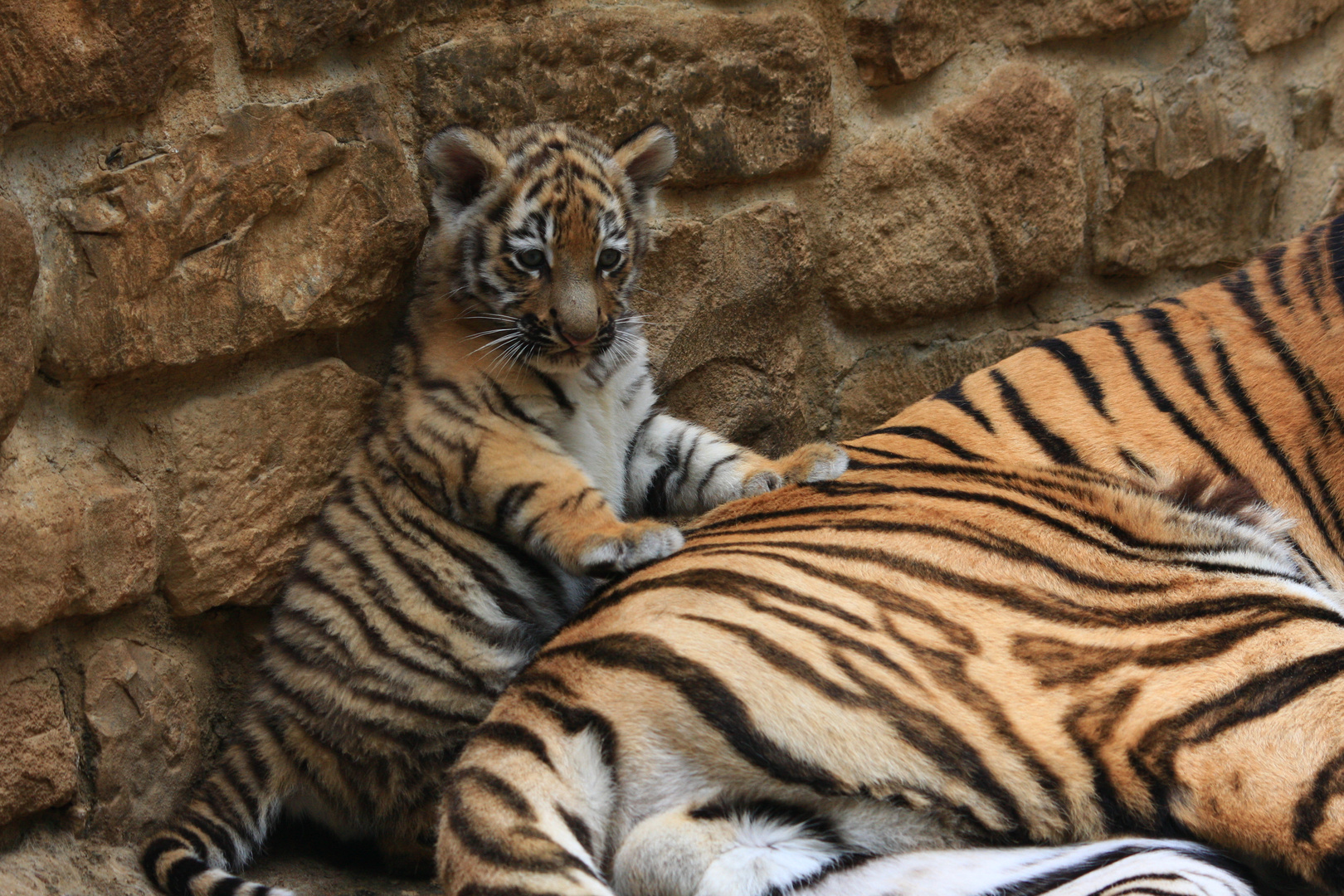 Impressionen aus dem Zoo Aschersleben 4