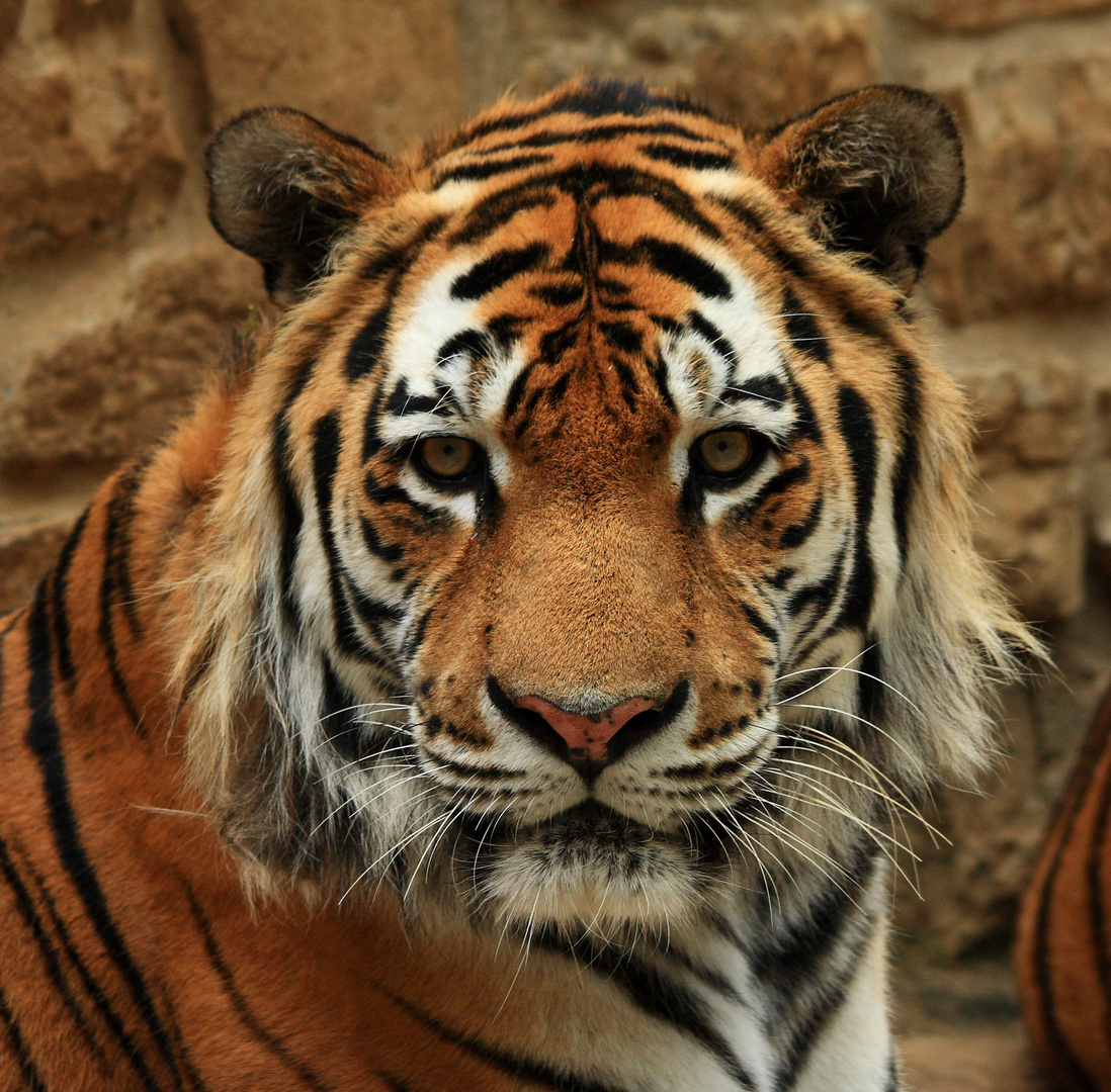 Impressionen aus dem Zoo Aschersleben 5