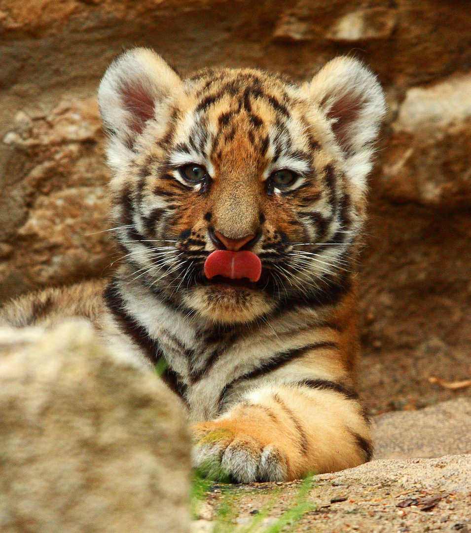 Impressionen aus dem Zoo Aschersleben 6