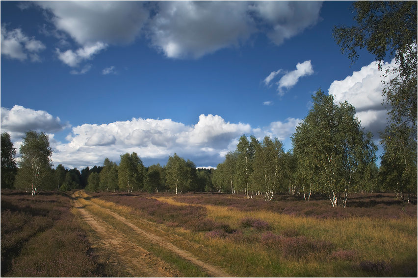 Impressionen aus der Heide