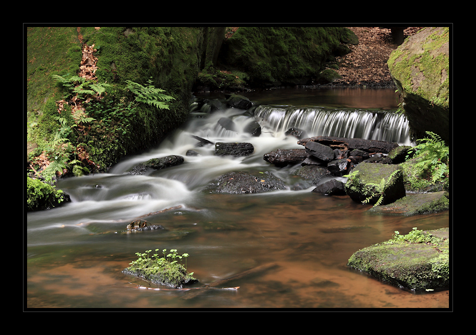 Impressionen aus der Karlstalschlucht 1