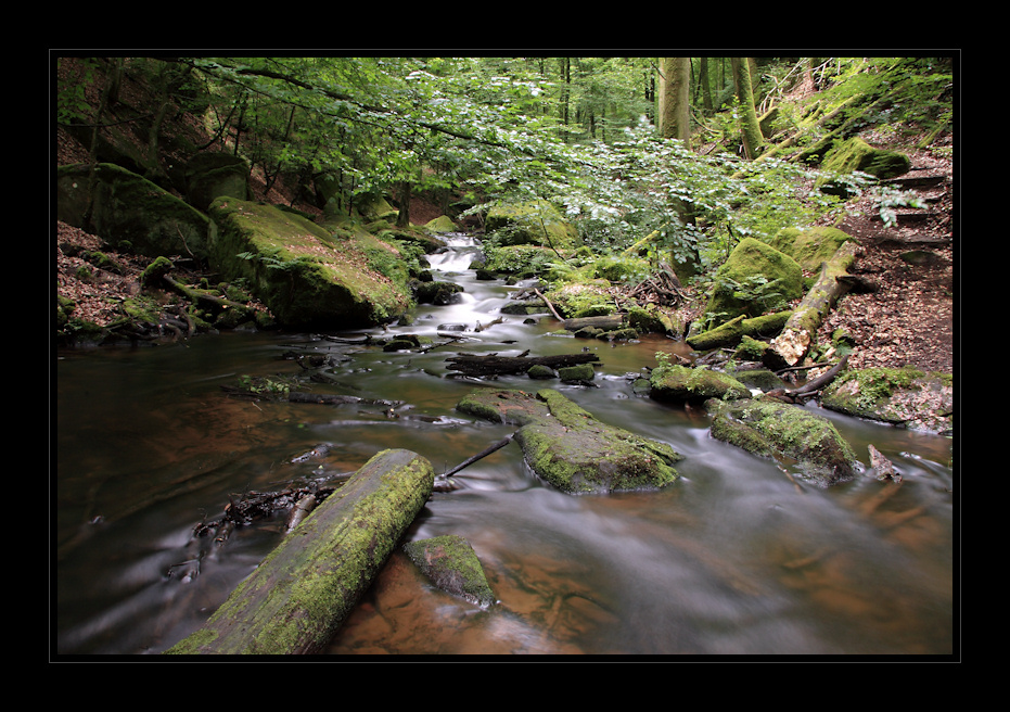 Impressionen aus der Karlstalschlucht 2