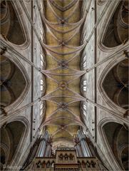 *** Impressionen aus der Marienkirche in Reutlingen ***