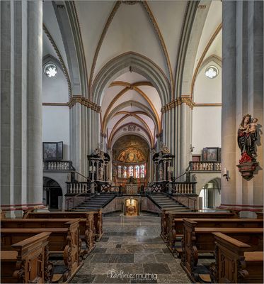 *** Impressionen aus der Münsterbasilika St. Martin in Bonn ***