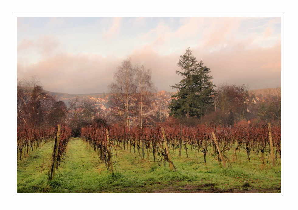 Impressionen aus der Pfalz 1