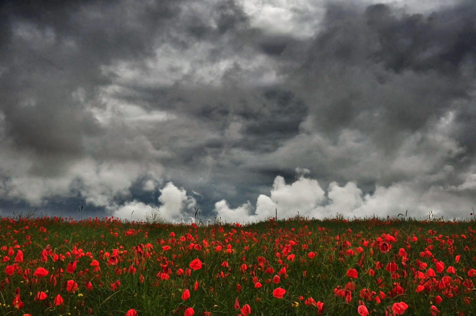 Impressionen aus der Rhön II 