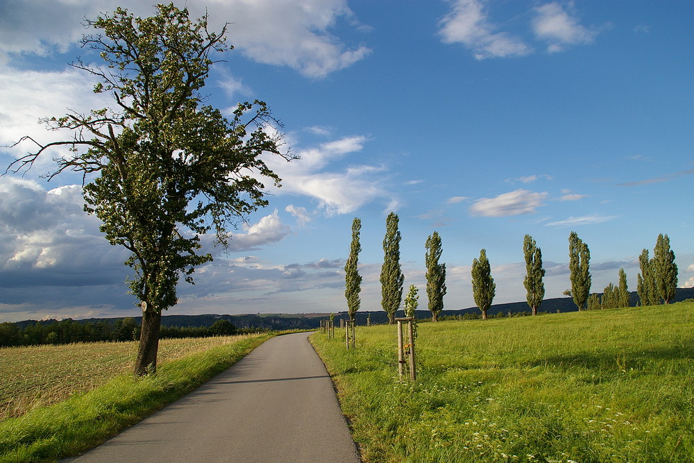 Impressionen aus der Sächsischne Schweiz