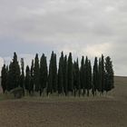 Impressionen aus der Toscana