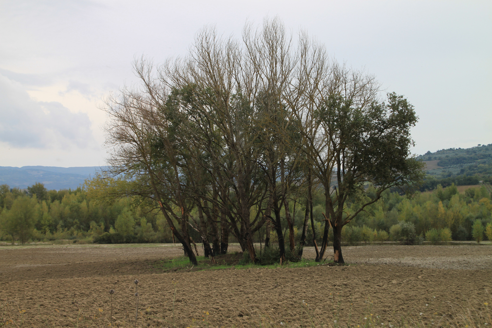 Impressionen aus der Toscana