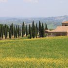 Impressionen aus der Toscana