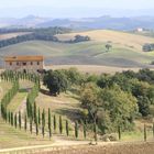 Impressionen aus der Toscana