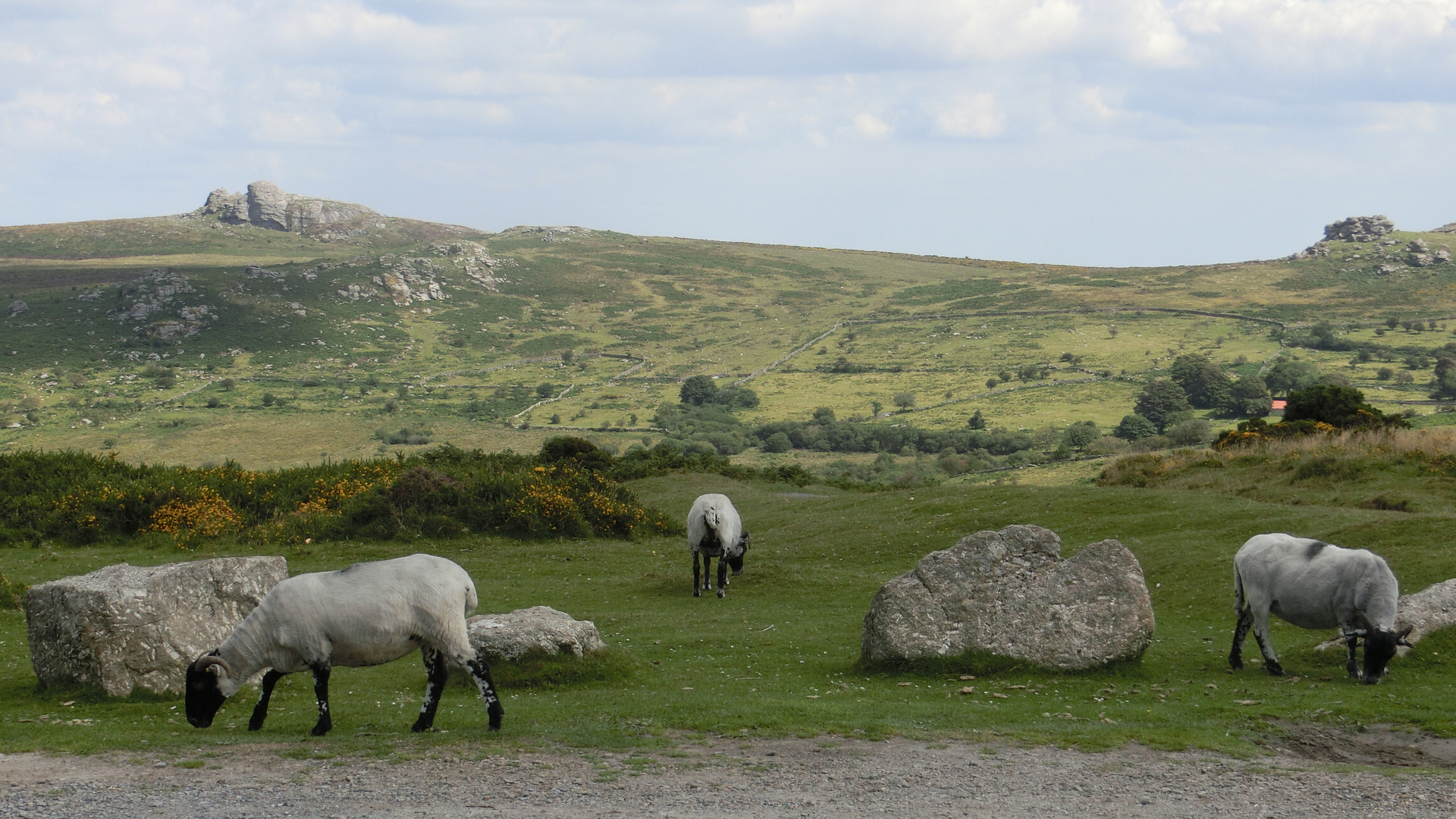 Impressionen aus England