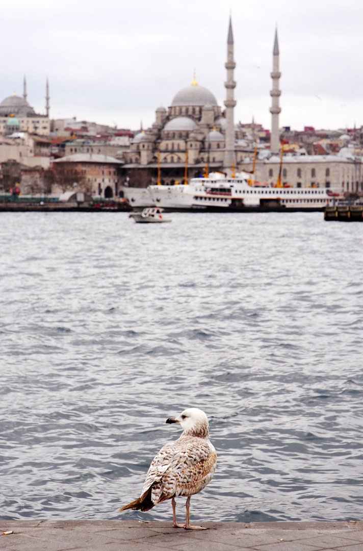 Impressionen aus Istanbul