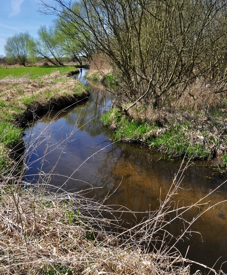 Impressionen aus Lübars und dem Tegler Fließ....