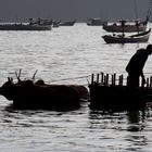 Impressionen aus Myanmar