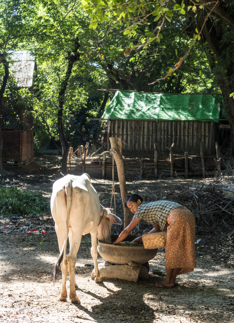 Impressionen aus Myanmar