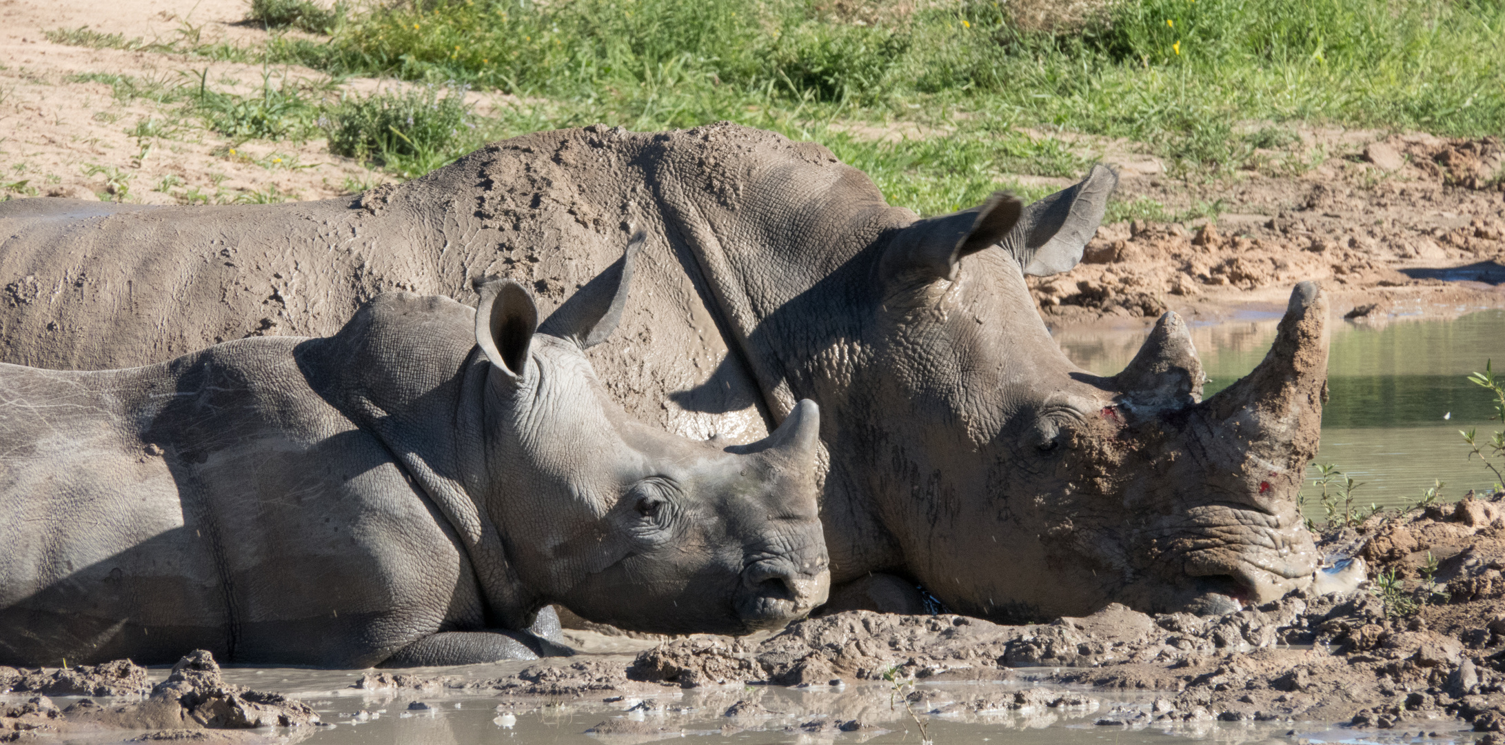 Impressionen aus Namibia 