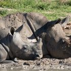 Impressionen aus Namibia 