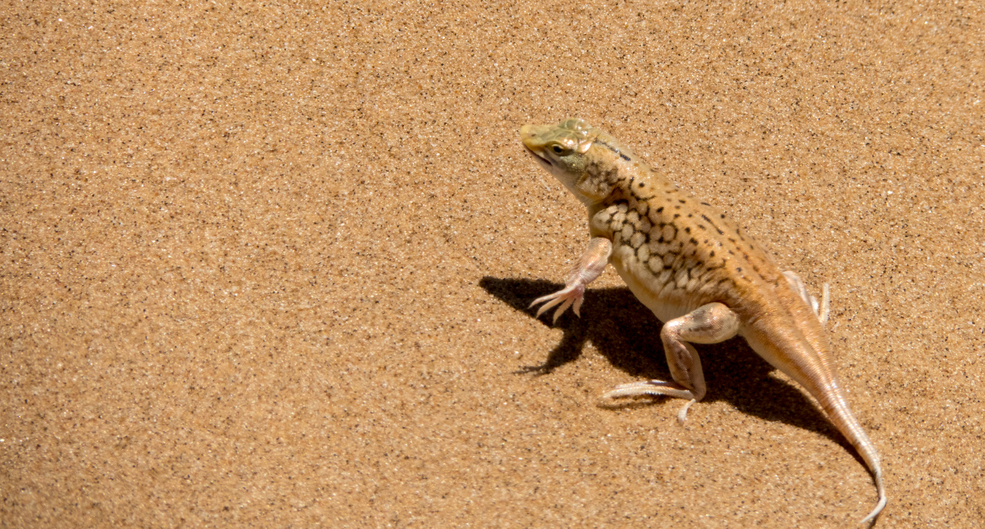 Impressionen aus Namibia 