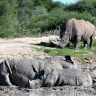 Impressionen aus Namibia 