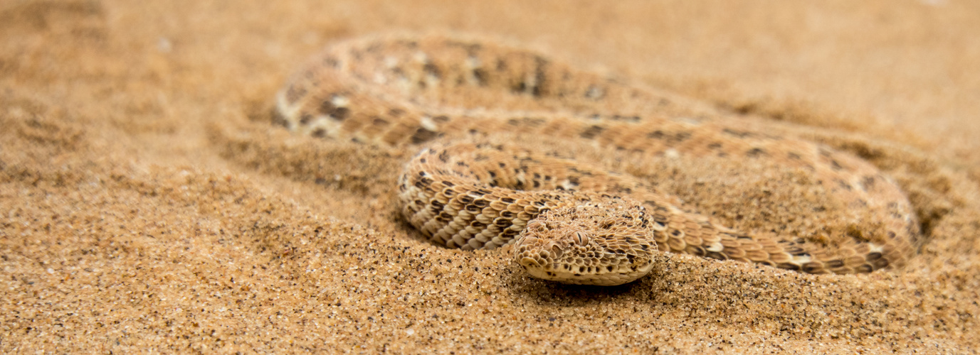 Impressionen aus Namibia 