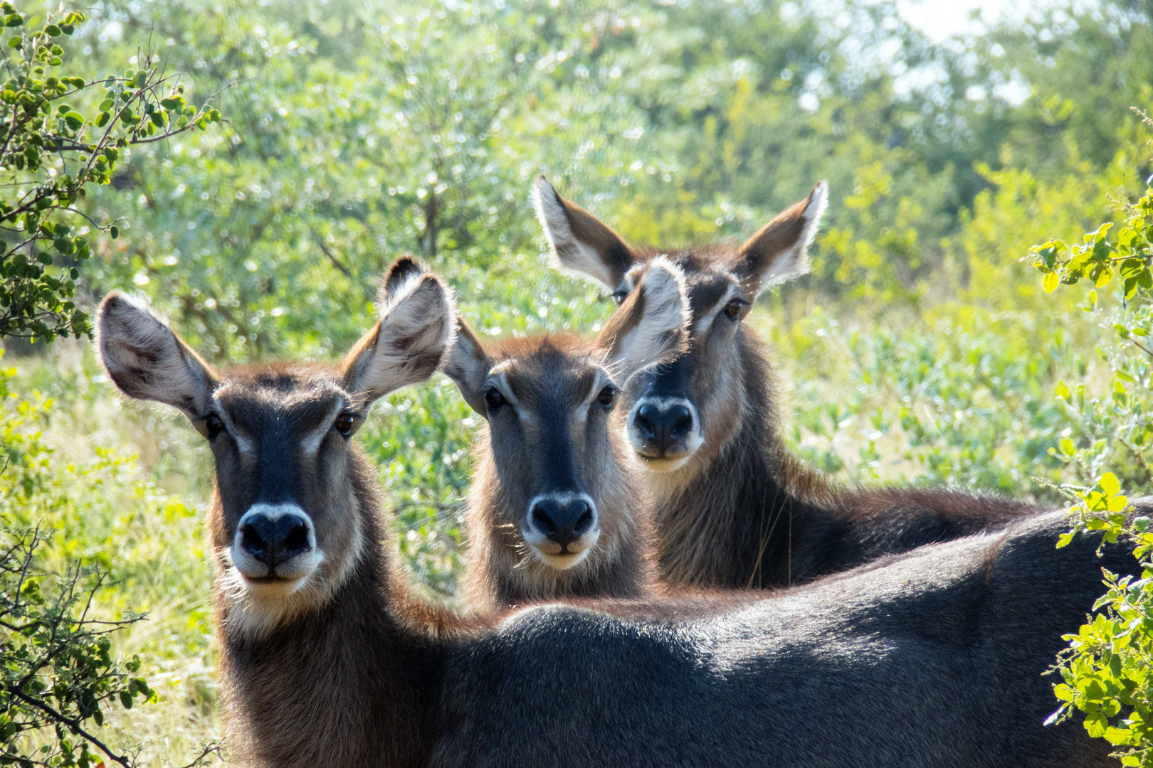 Impressionen aus Namibia 