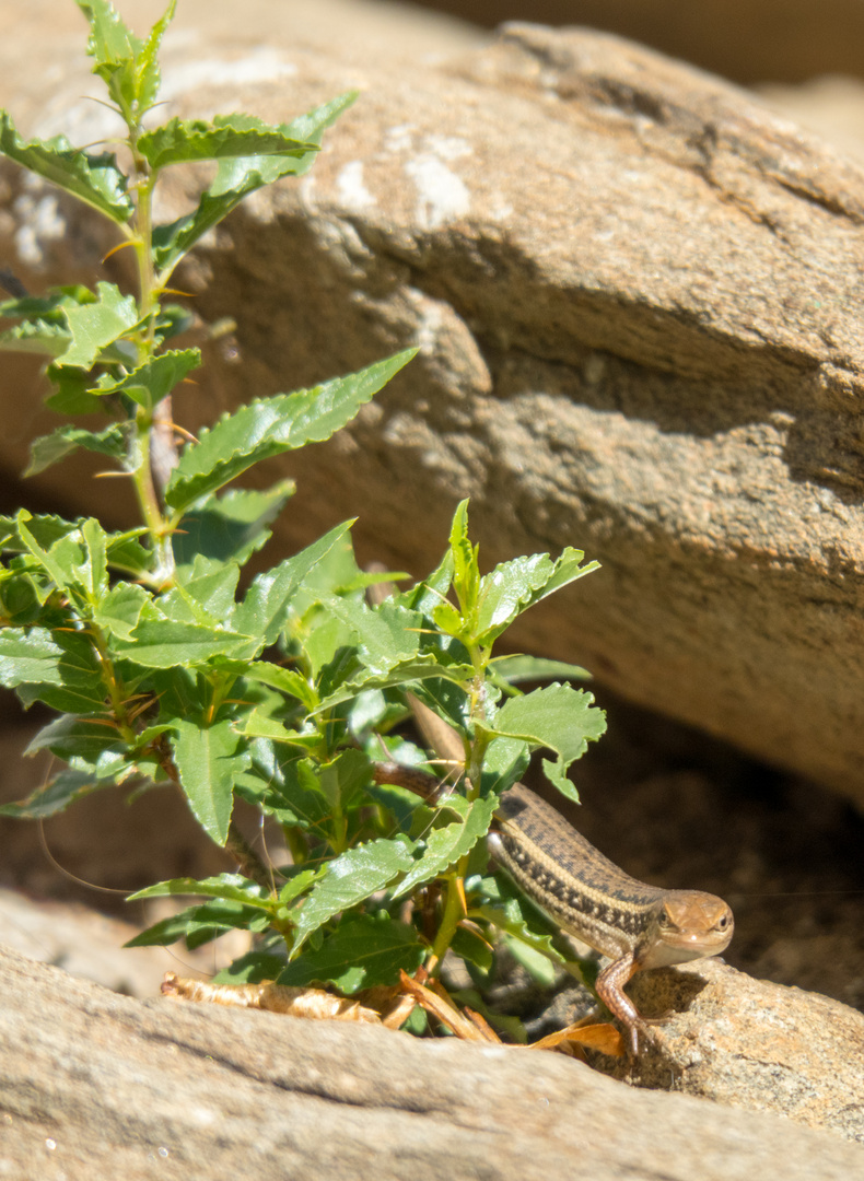 Impressionen aus Namibia 