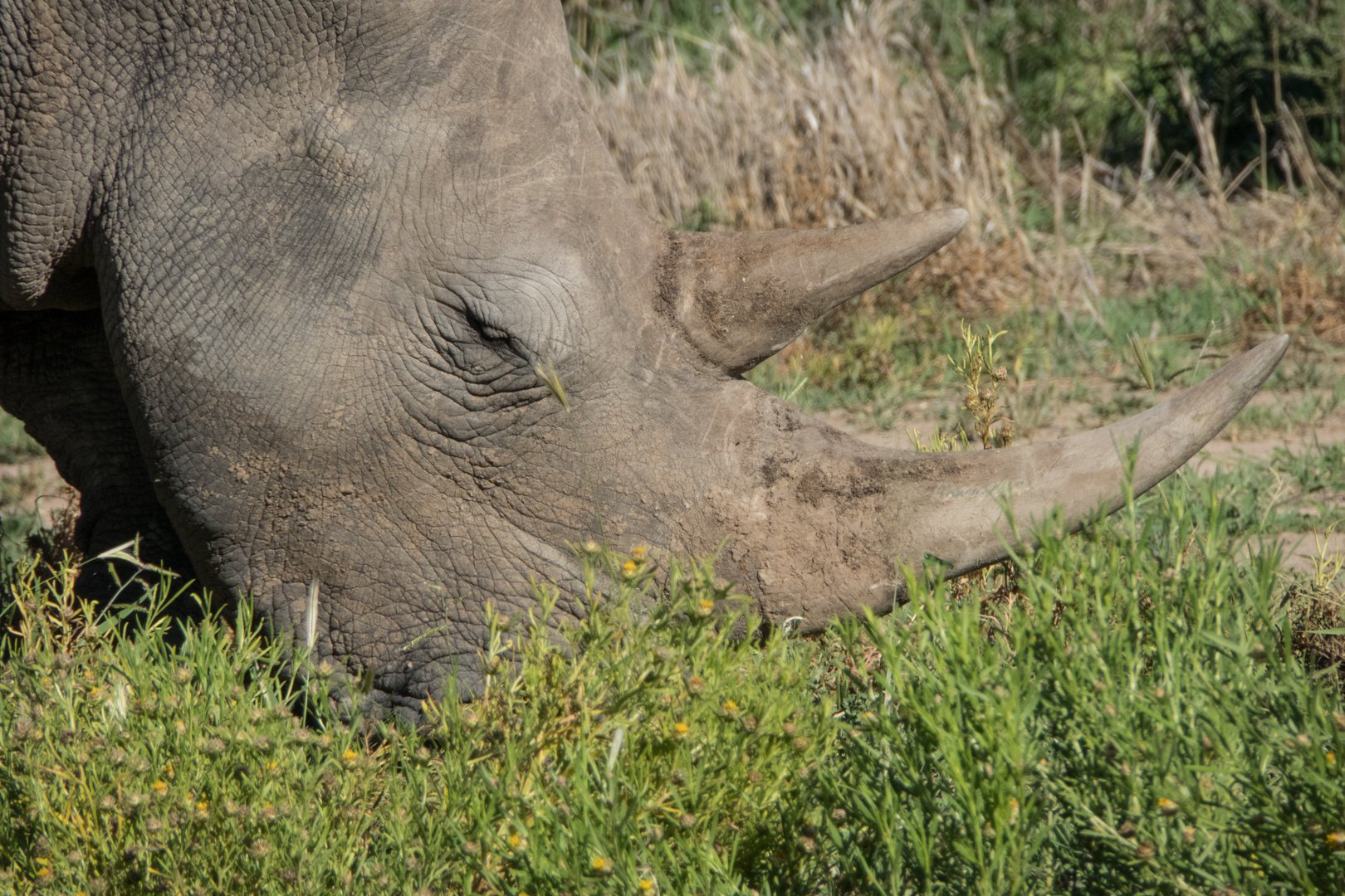 Impressionen aus Namibia 