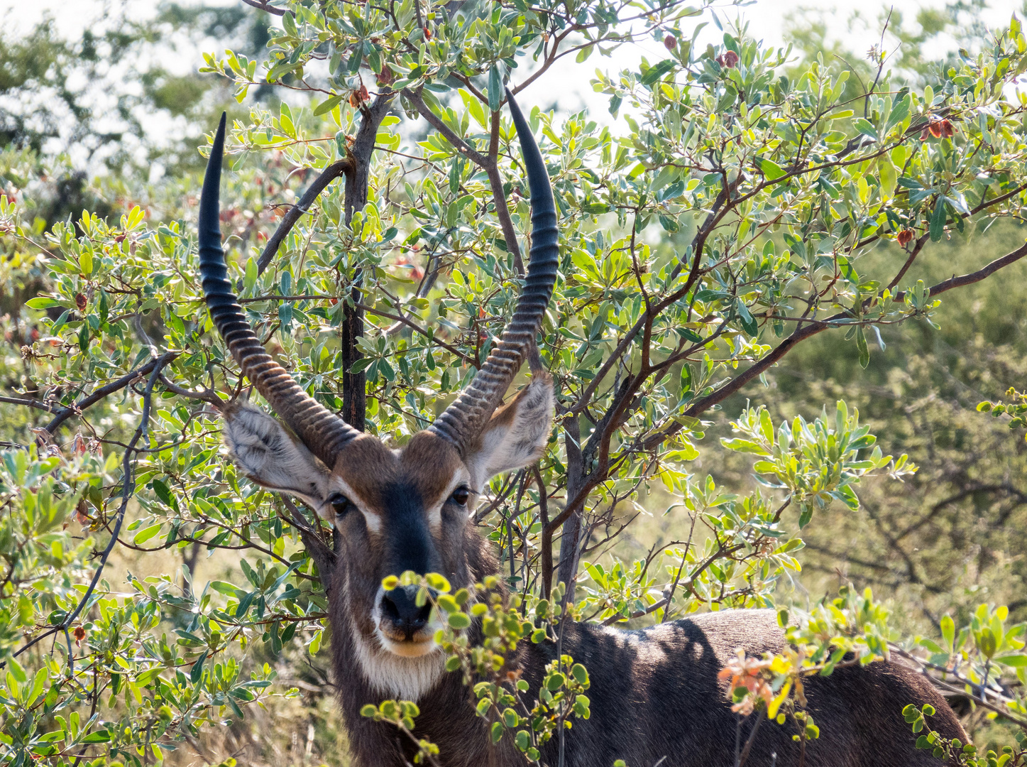 Impressionen aus Namibia 