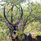 Impressionen aus Namibia 