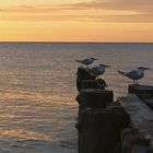 Impressionen aus Naples