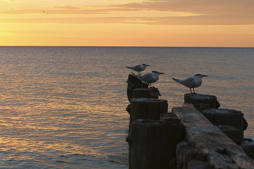 Impressionen aus Naples