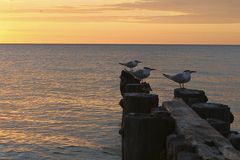 Impressionen aus Naples