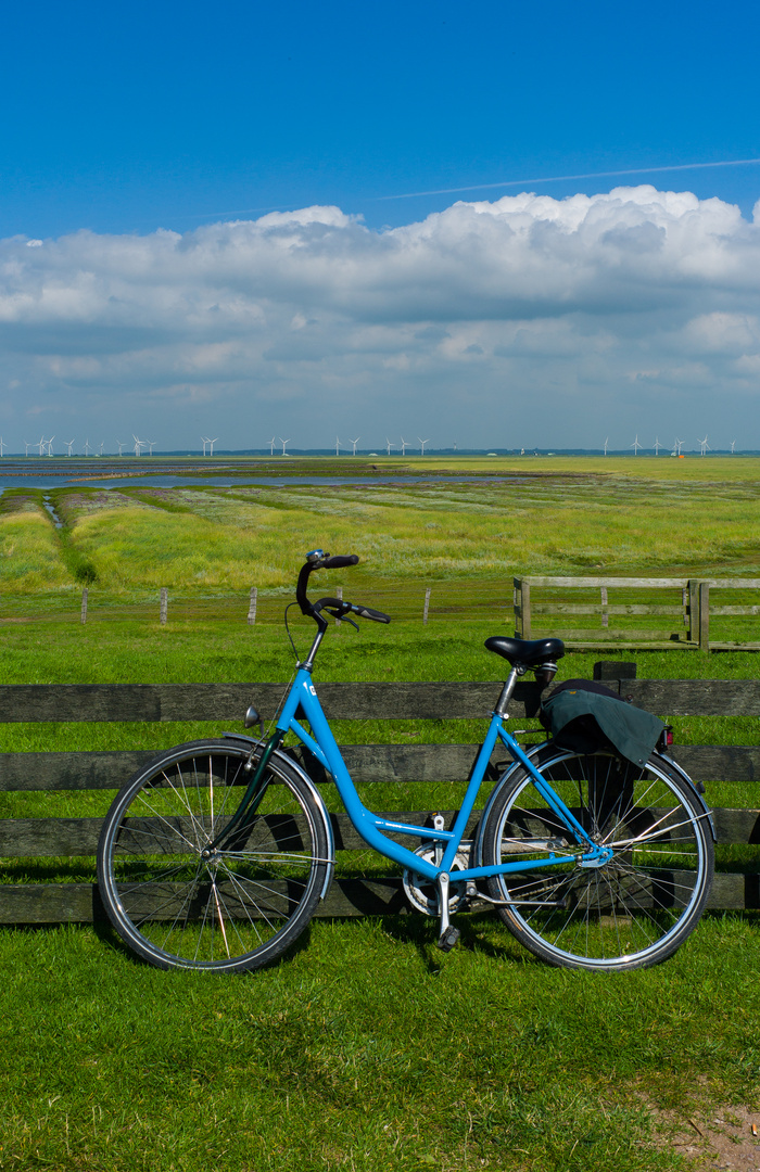 Impressionen aus Nordfriesland III