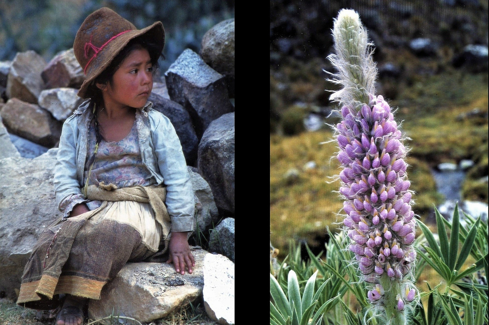 Impressionen aus Peru