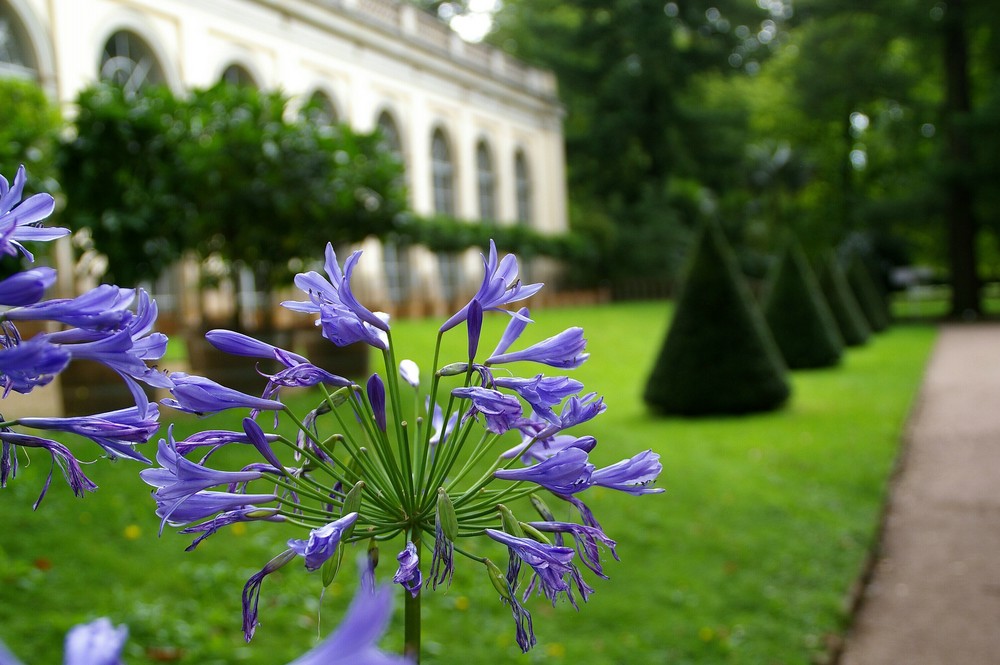 Impressionen aus Pillnitz 3