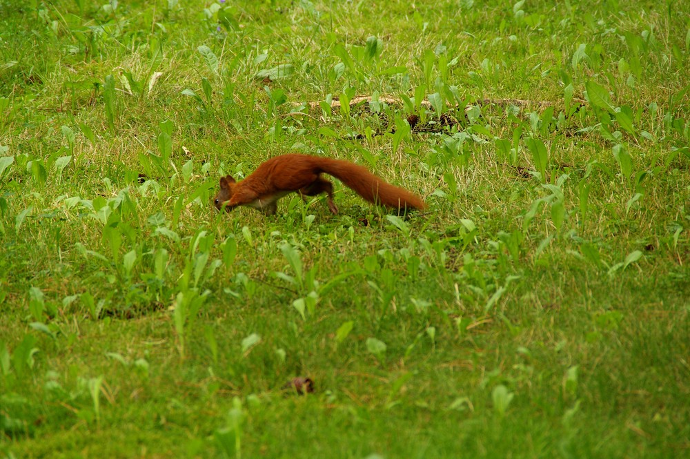 Impressionen aus Pillnitz 5