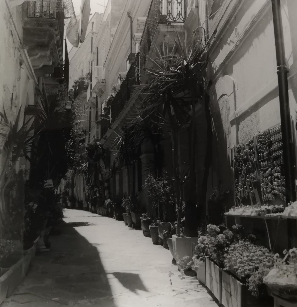 Impressionen aus Syrakus (Sizilien) Foto &amp; Bild | city, italy, world ...