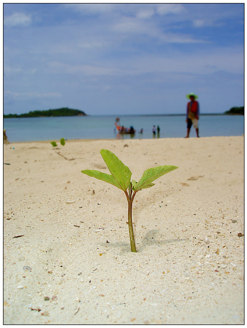 Impressionen aus Thailand: Was Du wohl mal wirst?