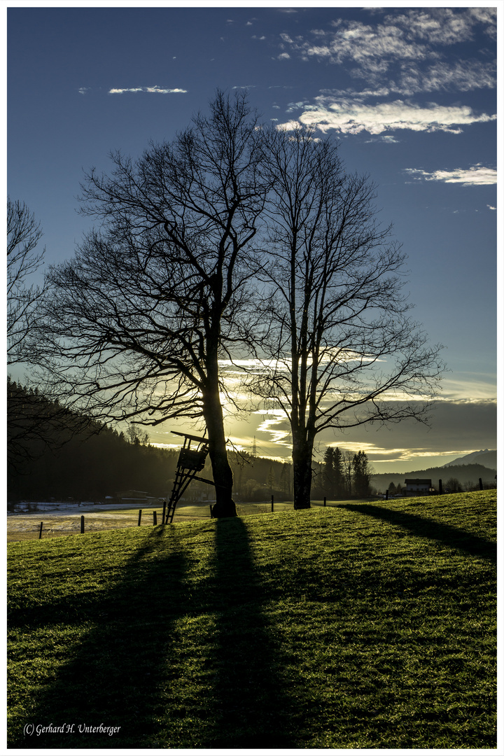 Impressionen aus Tirol ... heute am 28. Dezember 2013