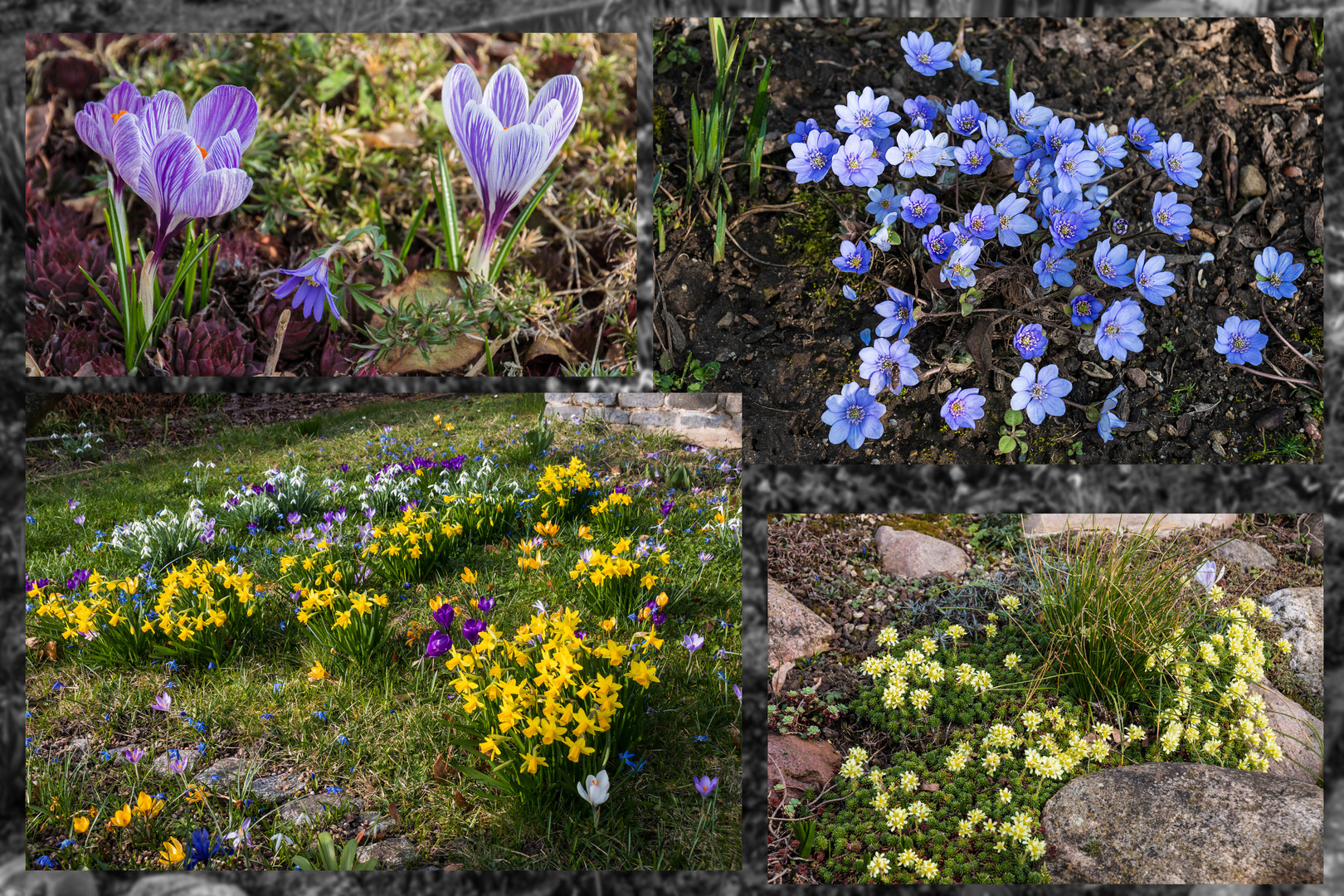 Impressionen aus unserem Garten