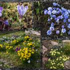 Impressionen aus unserem Garten