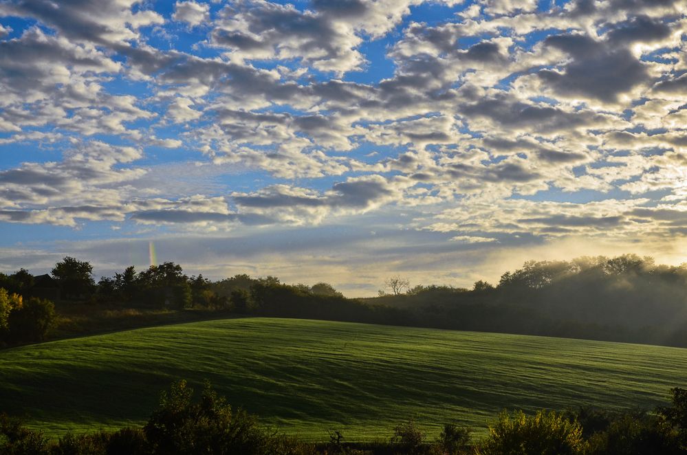 Impressionen von zause01 