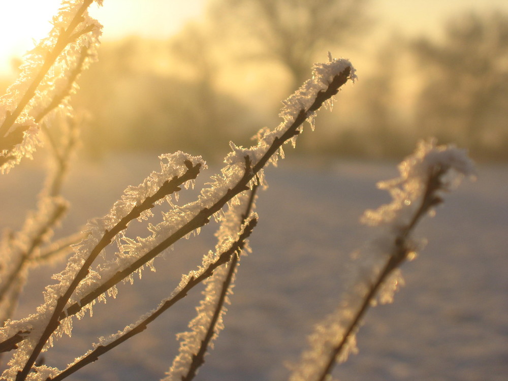 Impressionen bei Schnee & Eis