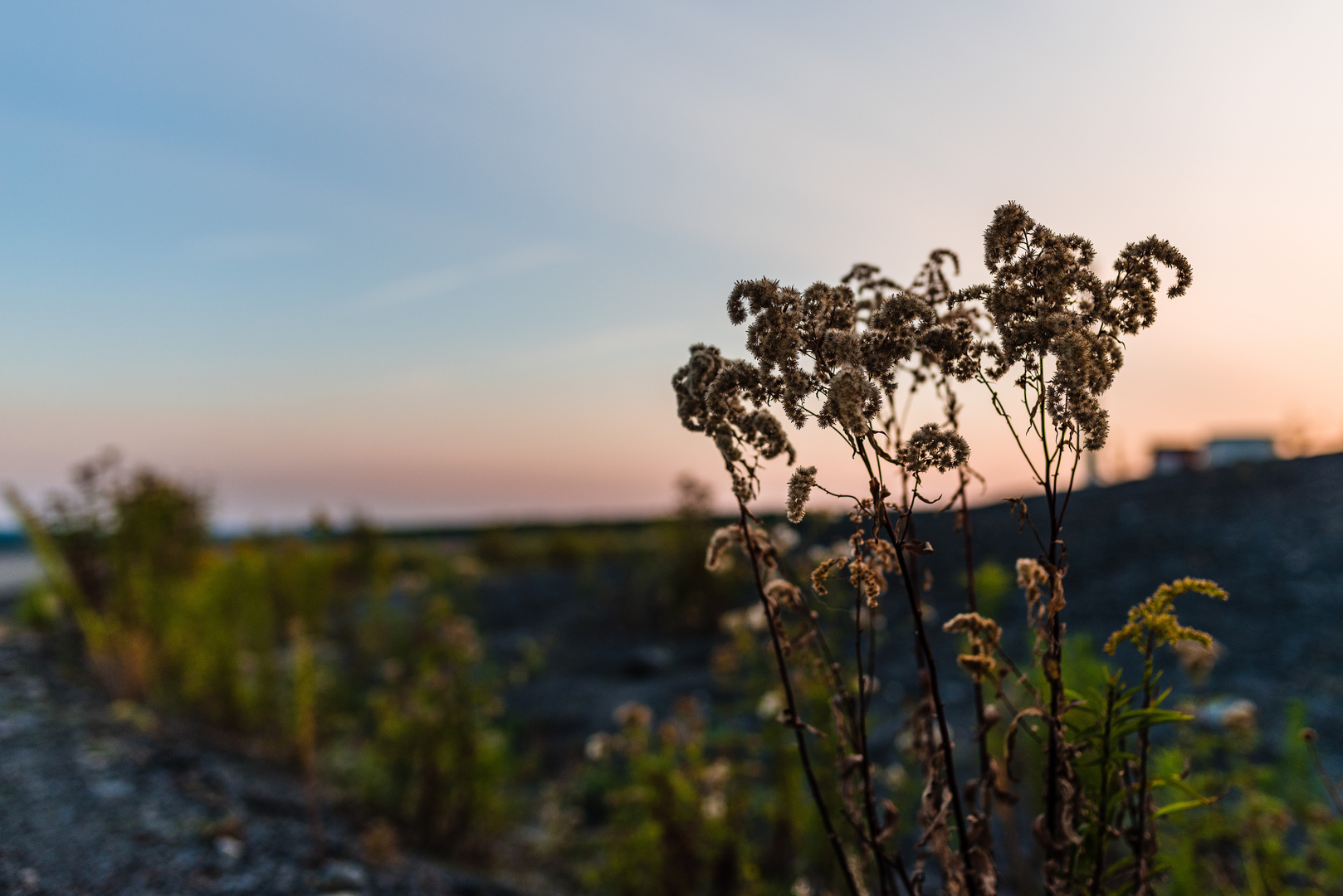 Impressionen beim Sonnenuntergang auf der Halde Göttelborn