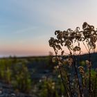 Impressionen beim Sonnenuntergang auf der Halde Göttelborn