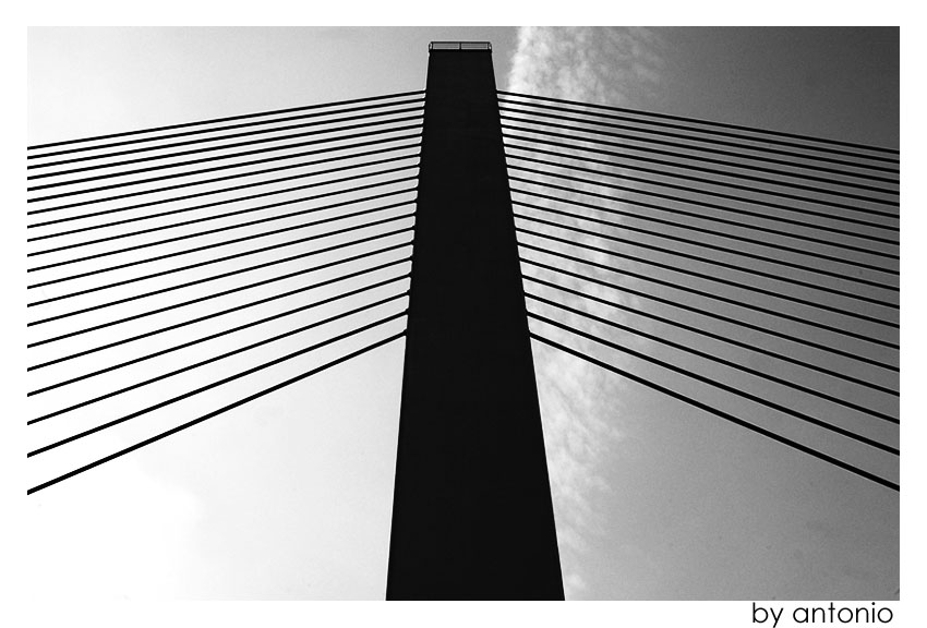 Impressionen Bonner Nordbrücke 1