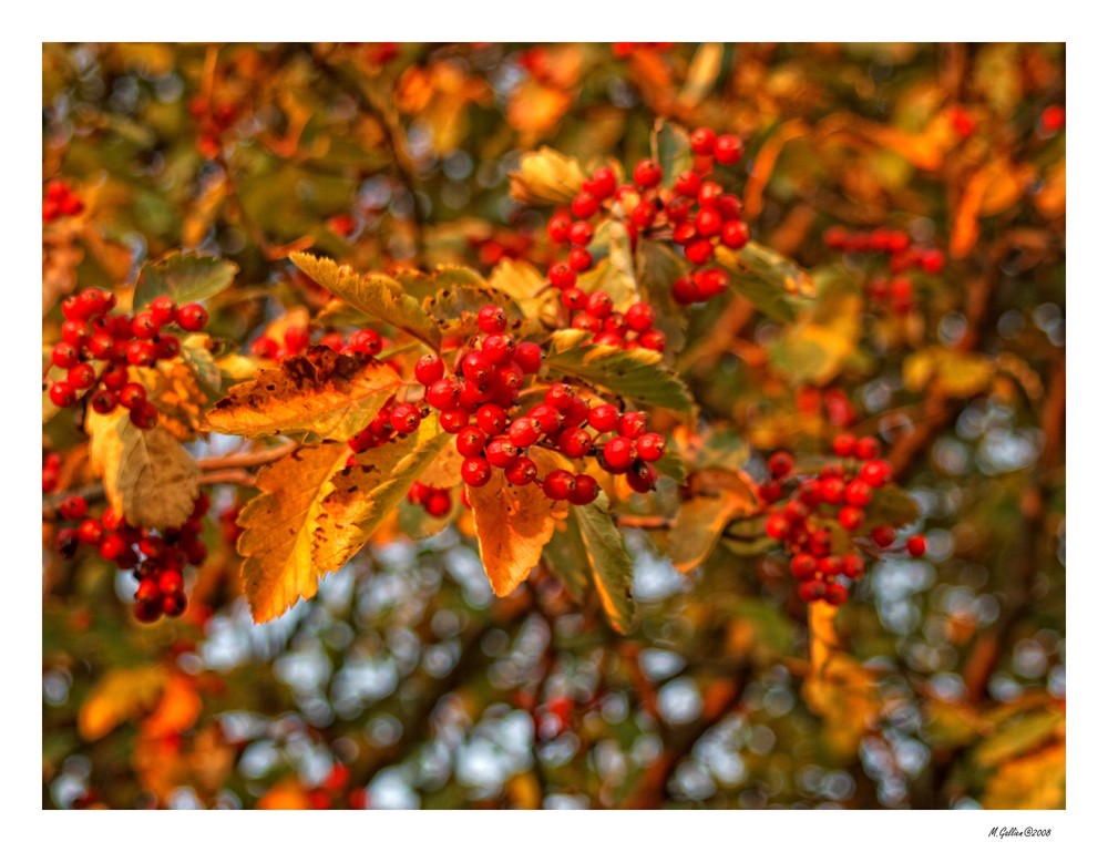 Impressionen - Britzer Garten (4)