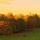 Impressionen - Britzer Garten (6)